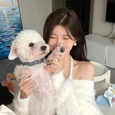 生生舞不息 封面