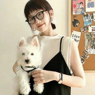 虎父无犬女 封面